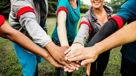 Тимбилдинги