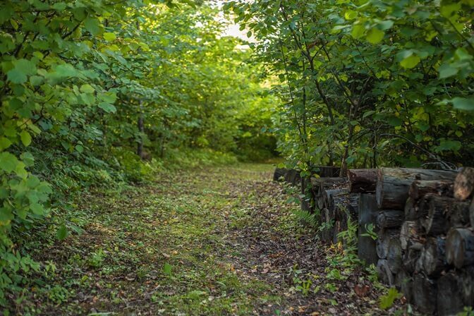 Тропа Графа Тучкова
